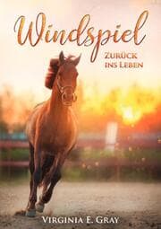 Cover von Windspiel - Zurück ins Leben