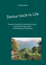 Cover von Detour back to Life