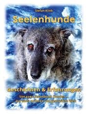 Cover von Seelenhunde