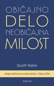 Cover von Obicajno delo, neobicajna milost