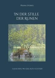 Cover von In der Stille der Runen