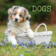 Cover von Dogs 2027
