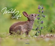 Cover von WaldLife 2027