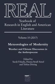 Cover von REAL - Yearbook of Research in English and American Literature, Volume 33 (2017)