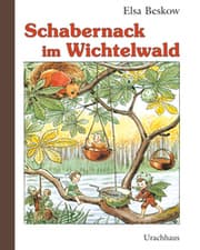 Cover von Schabernack im Wichtelwald