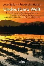 Cover von Undeutbare Welt