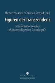 Cover von Figuren der Transzendenz