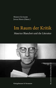 Cover von Im Raum der Kritik