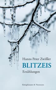 Cover von Blitzeis
