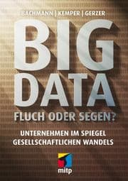 Cover von Big Data - Fluch oder Segen?