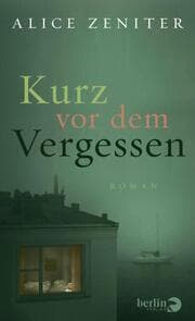 Cover von Kurz vor dem Vergessen