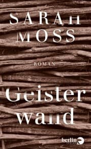 Cover von Geisterwand