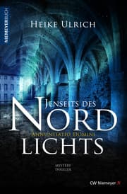 Cover von Jenseits des Nordlichts