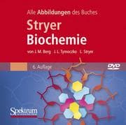 Cover von Die Grafiken des Buches 'Stryer Biochemie'
