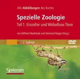 Cover von Spezielle Zoologie 1
