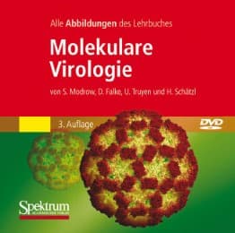 Cover von Molekulare Virologie