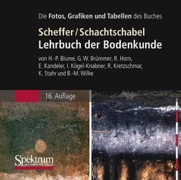 Cover von Lehrbuch der Bodenkunde