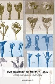 Cover von Karl Blossfeldt - Die Arbeitscollagen