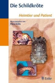 Cover von Die Schildkröte
