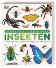 Cover von Unsere Welt in 1000 Bildern. Insekten