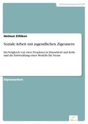 Cover von Soziale Arbeit mit jugendlichen Zigeunern