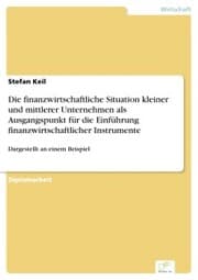 Cover von Die finanzwirtschaftliche Situation kleiner und mittlerer Unternehmen als Ausgangspunkt für die Einführung finanzwirtschaftlicher Instrumente