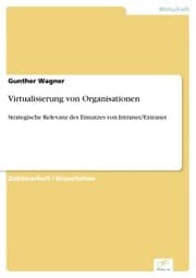Cover von Virtualisierung von Organisationen
