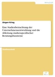 Cover von Eine Stadienbetrachtung der Unternehmensentwicklung und die Ableitung stadienspezifischer Beratungsbausteine