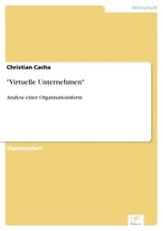 Cover von 'Virtuelle Unternehmen'