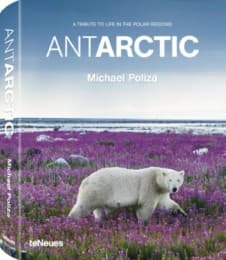Cover von Antarctic