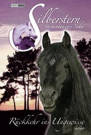 Cover von Silberstern, Sternentänzers Sohn / Silberstern, Sternentänzers Sohn