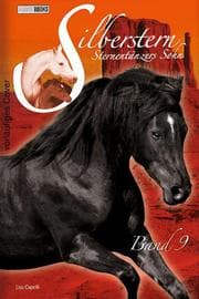 Cover von Silberstern, Sternentänzers Sohn