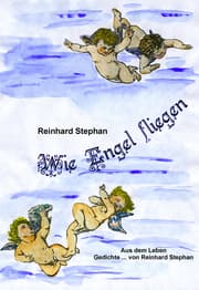 Cover von Wie Engel fliegen