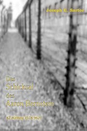 Cover von Das Schicksal des Aaron Bernstein