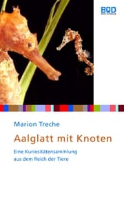 Cover von Aalglatt mit Knoten