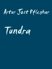 Cover von Tundra