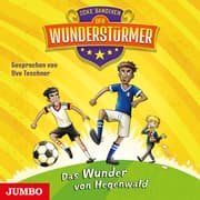 Cover von Der Wunderstürmer - Das Wunder von Hegenwald