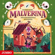 Cover von Malverina. Der geheimnisvolle Wasserfall [Band 4]