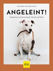 Cover von Angeleint!
