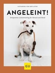 Cover von Angeleint!