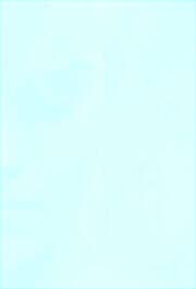 Cover von Das Maschenputtel
