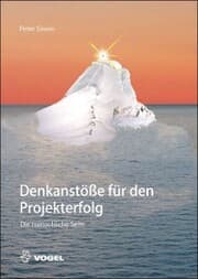 Cover von Denkanstöße für den Projekterfolg