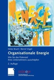Cover von Organisationale Energie