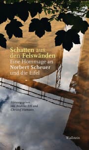 Cover von Schatten aus den Felswänden