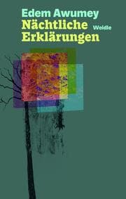 Cover von Nächtliche Erklärungen