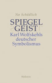 Cover von Spiegelgeist