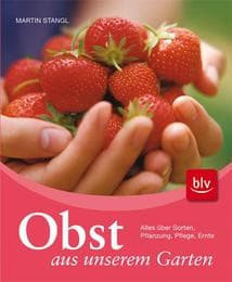 Cover von Obst aus unserem Garten