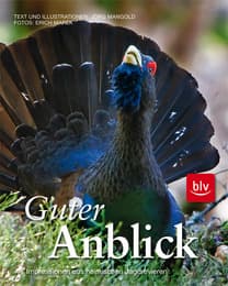 Cover von Guter Anblick