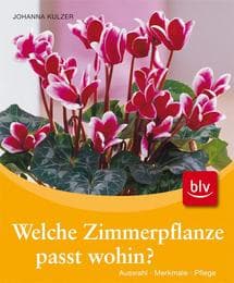 Cover von Welche Zimmerpflanze passt wohin?