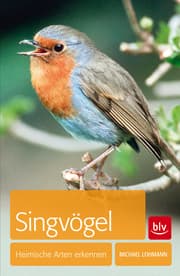 Cover von Singvögel